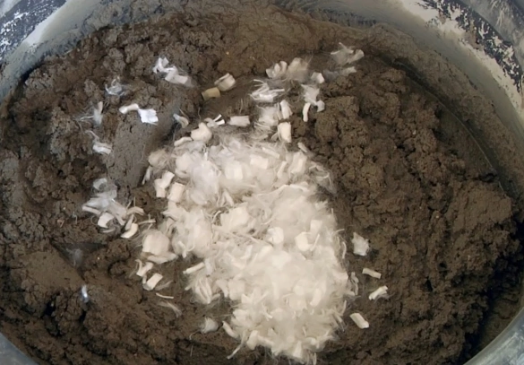 image008.webp
